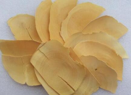 东革阿里多少钱一斤 野生和人工种植一看价钱就可以知道