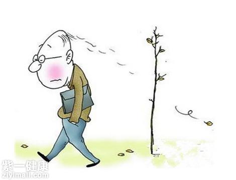 调理脱发吃什么  男性脱发有六大原因