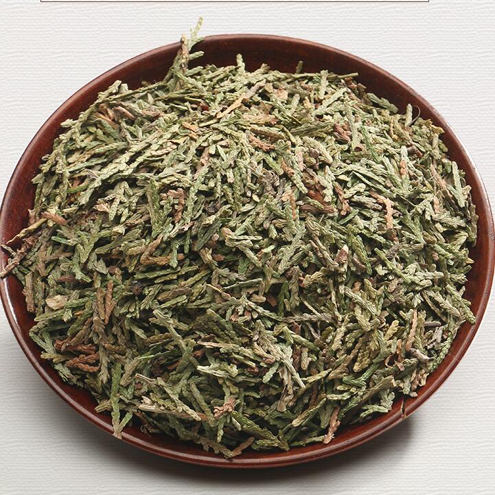 侧柏叶治疗白发的偏方是什么 白头发变黑竟如此简单