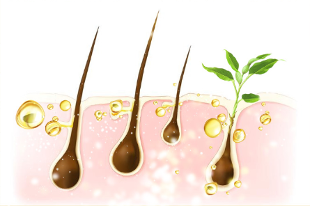 如何防止脱发 脱发吃哪些食物