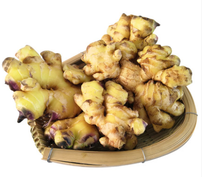 生姜擦头皮生发吗 生姜擦头皮生发因人而异