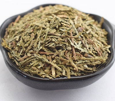 侧柏叶泡酒的方法 侧柏叶泡酒的注意事项