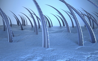 女性掉头发严重小偏方 推荐2个改善掉发小偏方