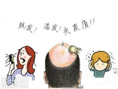 生发黑豆汤治白发偏方大全 彻底跟秃头说“拜拜”