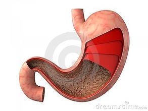 肠道疾病（肠道菌群失调）的预防与保健