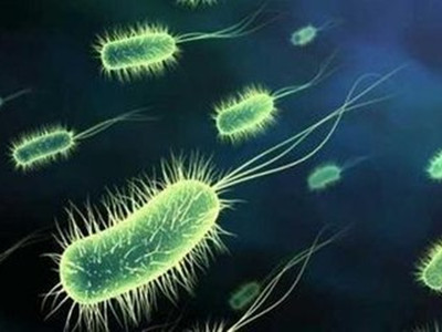 益生菌并非多多益善 益生菌产品好坏的关键点