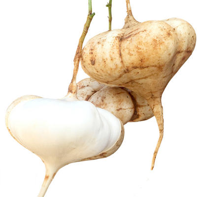 白地瓜吃多了会不会便秘 答案在这里