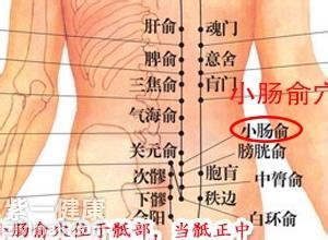小肠俞穴位位置图 健康从按摩穴位开始