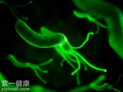 幽门螺杆菌怎么回事 感染幽门螺杆菌及时治疗