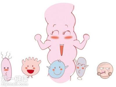 益生元哪个牌子好 益生元品牌排行榜大揭秘