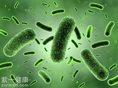 双歧杆菌能长期吃吗  长期服用容易致病