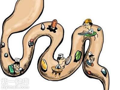 活性益生菌有哪些 介绍活性益生菌的五大科目