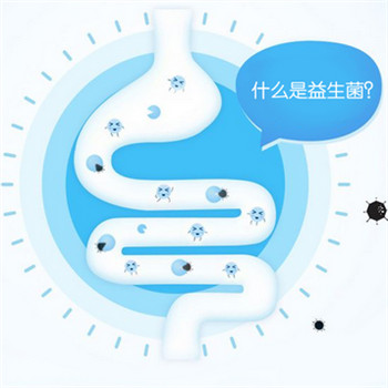 益倍适益生菌说明书 详解说明正确使用