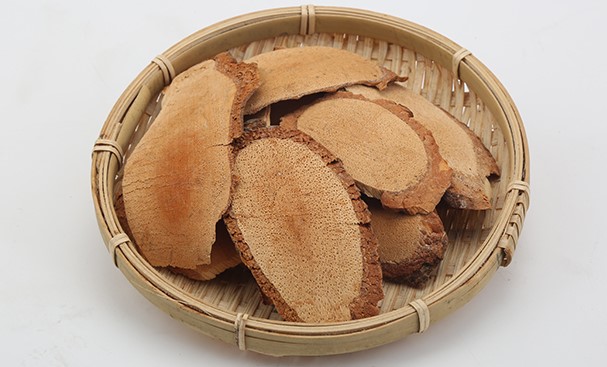 藤梨根的功效与作用 细数藤梨根四个常见作用