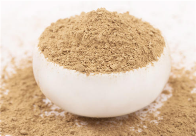 解读养脾散的说明书内容 介绍其作用和成分及用法