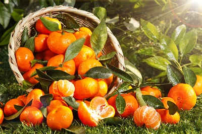 便秘最怕什么水果 吃9种水果改善便秘