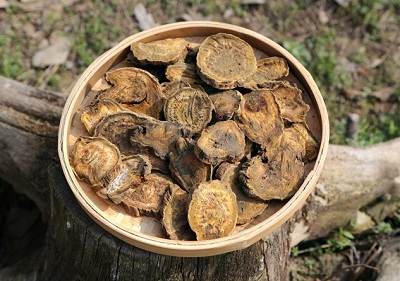 大黄泡水的功效与作用 泡水喝有禁忌吗