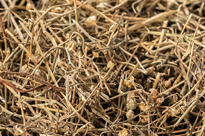 一种草药根除顽固痔疮 盘点除只穿的三种中草药