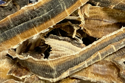 二味中药治好痔疮 治疗痔疮的注意事项